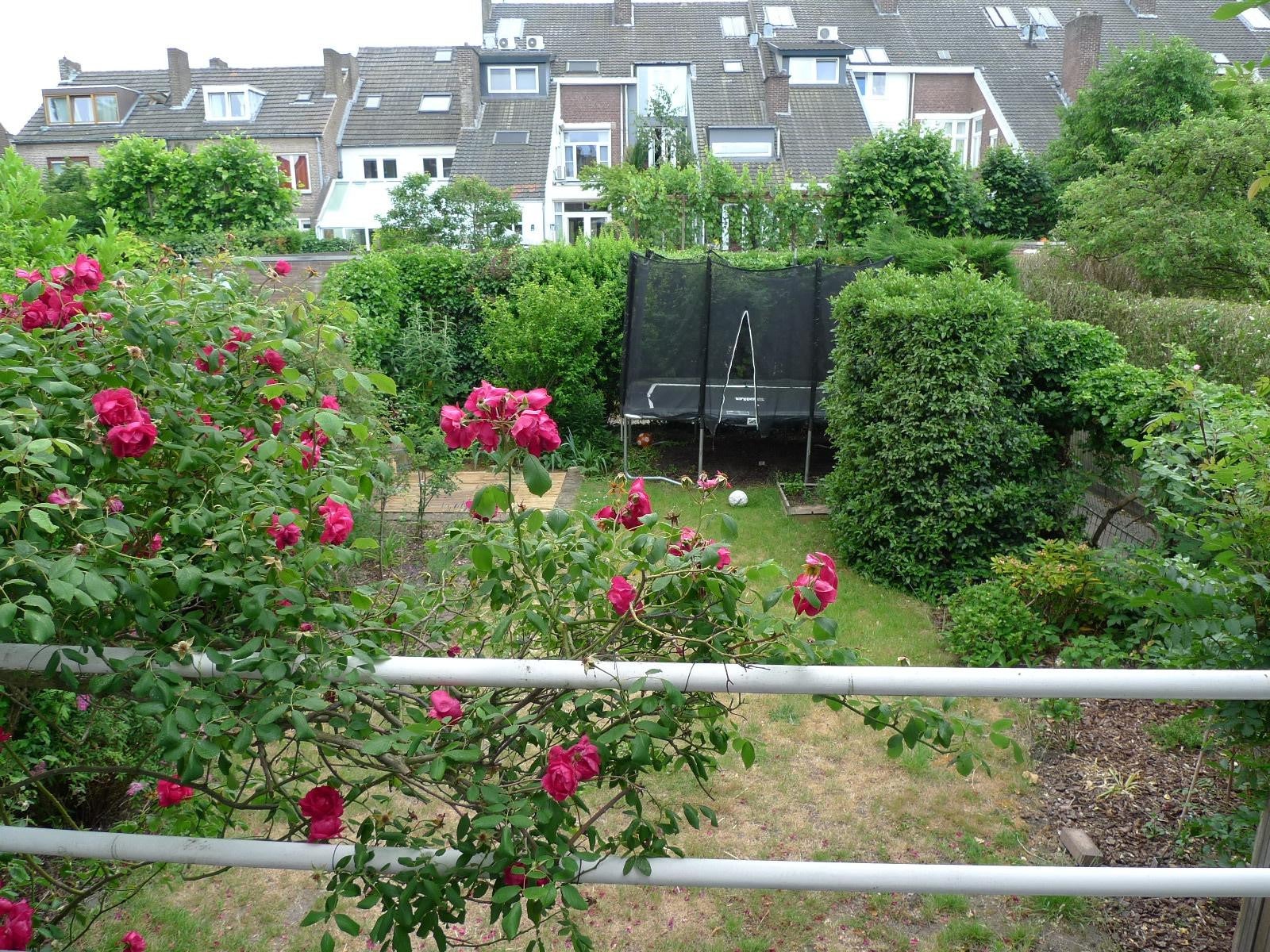 Sint Amandusstraat
