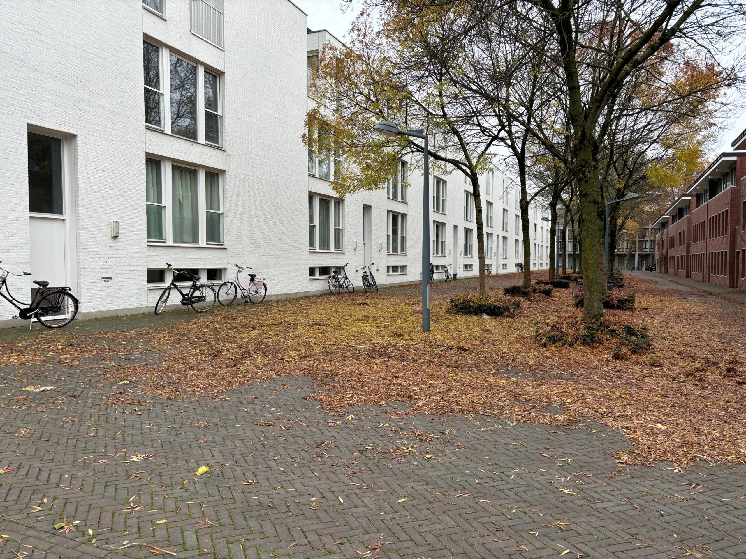 Hoge Barakken