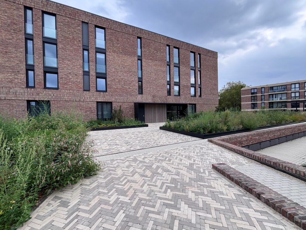 free-sector-houses for rent on Olympiapad